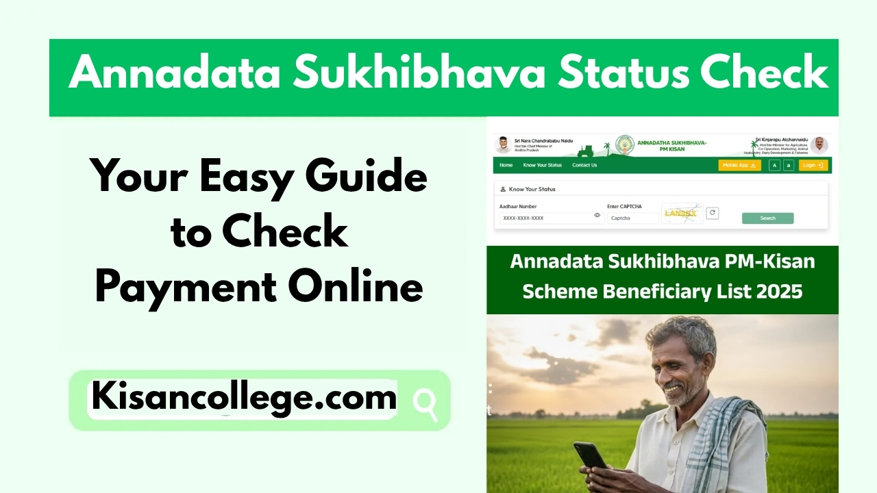 Annadata Sukhibhava Status Check